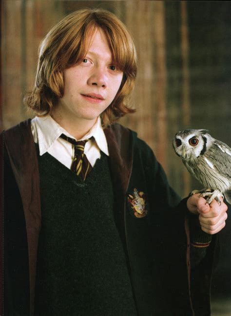 pigwidgeon harry potter|rons owls name harry potter.